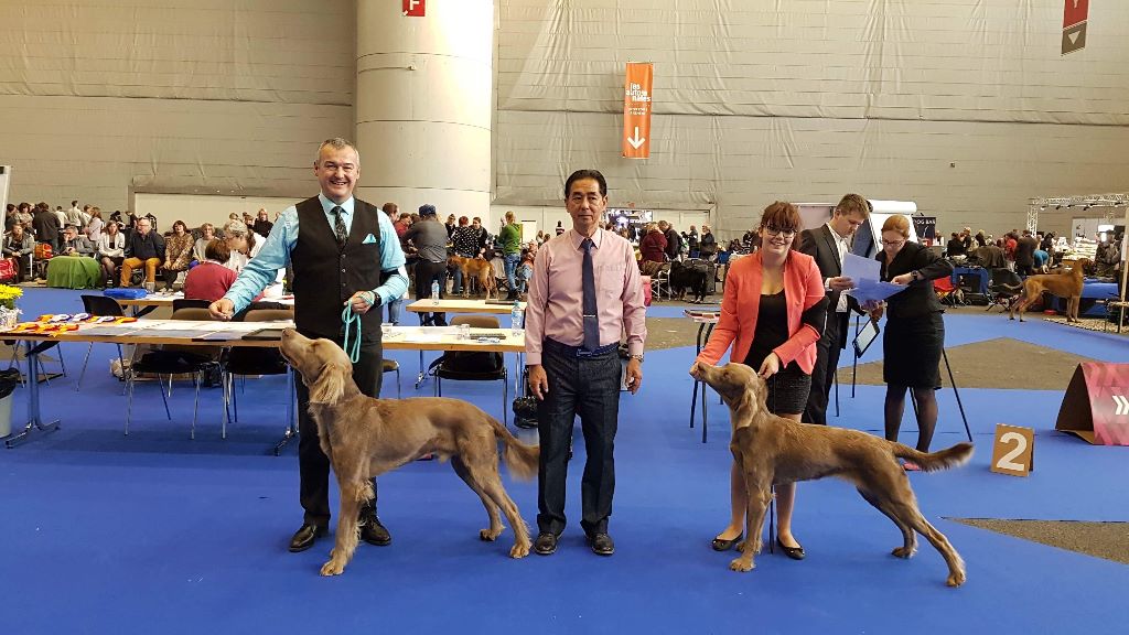 Du Tango Des Neiges Eternelles - Resultats expositions Genève & Le Mans