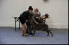  - Résultats Exposition Canine de Valence (26)
