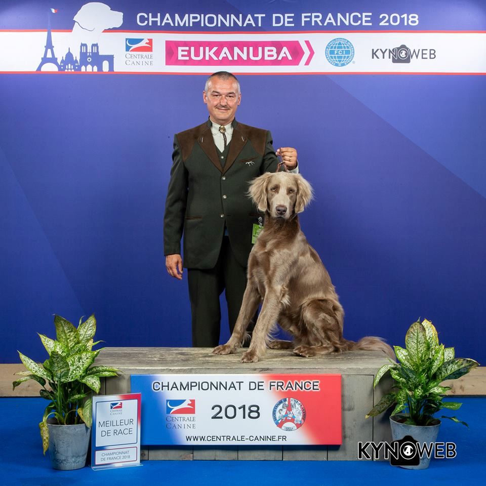 Du Tango Des Neiges Eternelles - Résultats championnats de France 2018