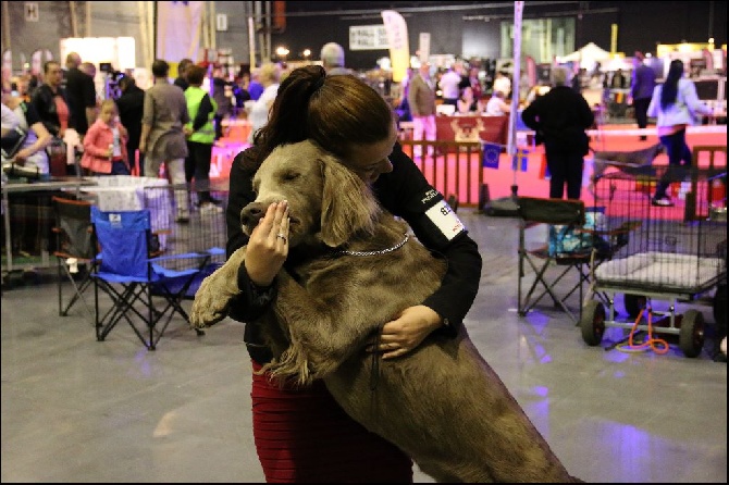 Du Tango Des Neiges Eternelles - Résultat double Dog Show Douai (59)